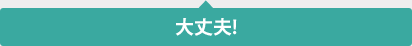 大丈夫