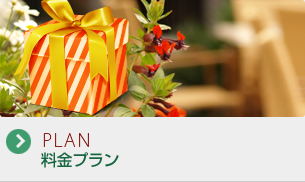 料金プラン